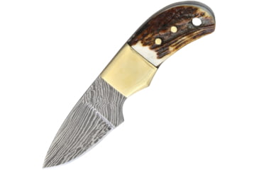 Image of Fox-N-Hound Mini Skinner Damascus Knife, 1.75 Damascus steel blade, Stag bone handle, # 22 / FH121