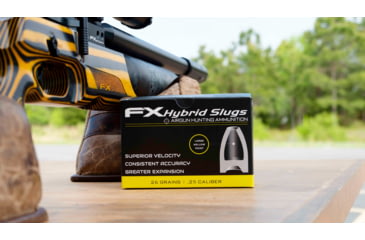 Image of FX Hollow-Point Hybrid Slug, .25 Caliber, 26 Grain, 100 Rounds, FXHS917428