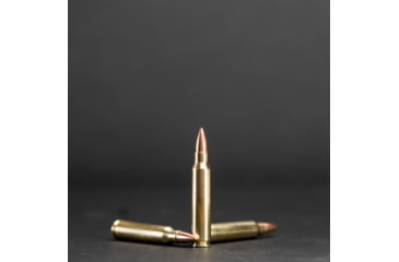 Image of G9 Defense .223 54 Grain Paper Punchers FMJ Brass Cased Rifle Ammo, 20 Rounds, T-223-55B