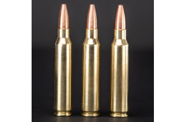 Image of G9 Defense .223 Remington 54 Grain Barrier Blind Hollow Point Brass Cased Rifle Ammo, 20 Rounds, B-223-54A