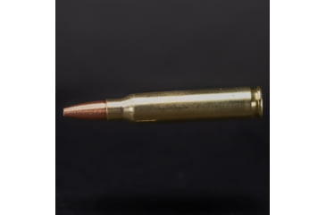 Image of G9 Defense .223 Remington 54 Grain Barrier Blind Hollow Point Brass Cased Rifle Ammo, 20 Rounds, B-223-54A