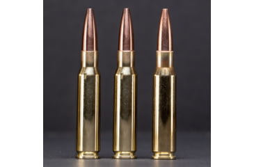 Image of G9 Defense 308 Winchester 145 Grain Barrier Blind Hollow Point Brass Cased Rifle Ammo, 20 Rounds, B-308ALPHA-145