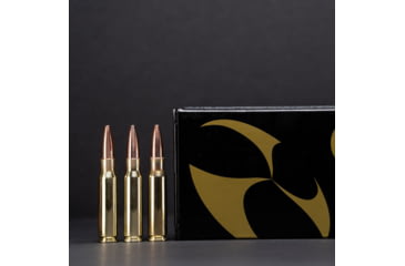 Image of G9 Defense 308 Winchester 145 Grain Barrier Blind Hollow Point Brass Cased Rifle Ammo, 20 Rounds, B-308ALPHA-145