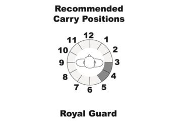 Image of Galco Royal Guard 2.0 Hol Rh Itp Leather Glock 43,43x Tan