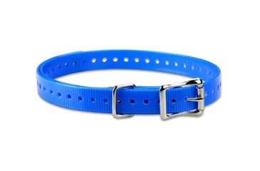 Image of Garmin 3/4 in. Dog Collar Strap, Blue 010-11870-06