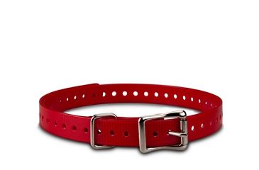 Image of Garmin 3/4 in. Dog Collar Strap, Red 010-11870-02