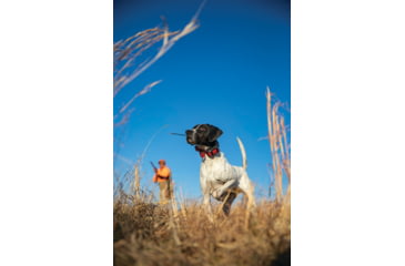 Image of Garmin Alpha TT 25 Dog Collar, LED, 010-02447-20