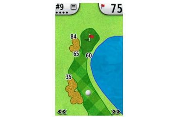 Image of Garmin G5 Approach Screen View