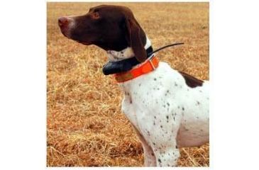 Image of Garmin DC 30 Dog Collar