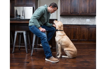 Image of Garmin Delta SE Handheld &amp; Dog Collar Device Bundle, Black, 010-02608-00