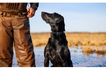 Image of Garmin Delta SE Handheld &amp; Dog Collar Device Bundle, Black, 010-02608-00