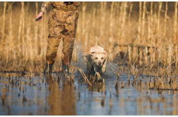 Image of Garmin Delta SE Handheld &amp; Dog Collar Device Bundle, Black, 010-02608-00