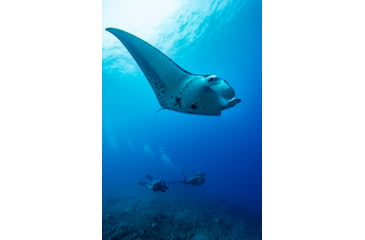 Image of Garmin Descent Mk2i, Titanium Carbon Gray DLC with Black Band, Carbon Gray/Black, 010-02132-01