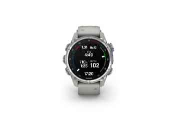 Image of Garmin Descent Mk3 43mm, Stainless Steel with Fog Gray Silicone Band, 010-02753-03