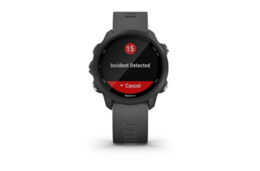 Image of Garmin Forerunner 245 Watch, Slate Gray, 010-02120-00