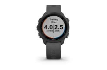 Image of Garmin Forerunner 245 Watch, Slate Gray, 010-02120-00