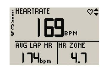 Image of Garmin Forerunner 301 010-00375-00