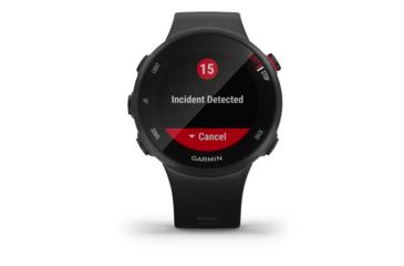 Image of Garmin Forerunner 45S Watch, Black, 010-02156-02