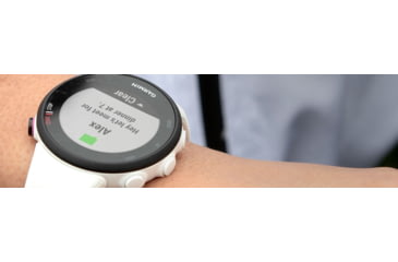 Image of Garmin Forerunner 45S Watch, White, 010-02156-00
