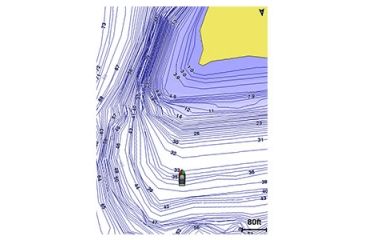 Image of Garmin LakeVu HD - LUS100F Preprogrammed MicroSD/SD Card 010-C1087-00