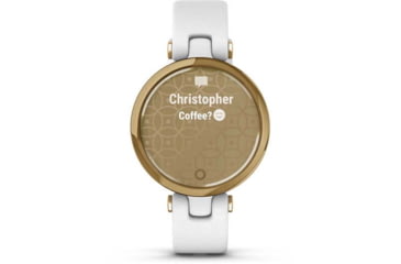 Image of Garmin Lily Smartwatch - Womens, Light Gold / White Leather, 010-02384-A3