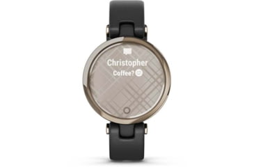 Image of Garmin Lily Smartwatch - Womens, Metal Hazel / Black Leather, 010-02384-A1