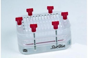 Image of GE Slotblot 48 Slots 80-6095-58, Unit EA
