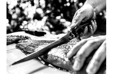 Image of Gerber Controller Fixed Blade Fillet Knife, 10in, Green, 31-003342