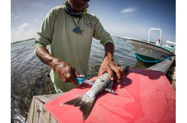 Image of Gerber Controller Fixed Blade Fillet Knife, 6in, 9CR18MOV Steel Blade, Salt-Resistant, Cyan, 31-003557