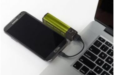 Image of Goal Zero Flip 20 USB Recharger for Multiple Charges,Solar Ready,Green 21910