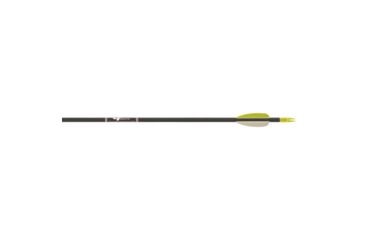 Image of Gold Tip Fiberglass Arrows, Black 6 pk. FIBA256