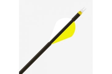 Image of Gold Tip Hunter PRO, 340 2 inch Raptor Vanes, 1dz, HPRO340A2