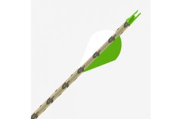 Image of Gold Tip Hunter XT, XTRA, 300 2 inch Raptor Vanes, 36CT, CHXTXT300A236