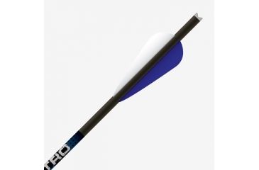 Image of Gold Tip Nitro, 20 inch, Moon Nocks Shafts, 1dz, NI20MS