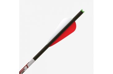 Image of Gold Tip Swift, 20 inch 4 inch Duravanes, 72CT, SW20A472