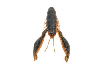 Image of Googan Squad Tuggin Bug 4in Bait