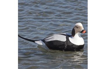 Image of Greenhead Gear Commercial Grade Long-Tailed Ducks Foam Filled,1/2 Dozen 74027