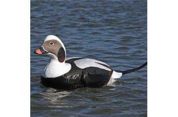 Image of Greenhead Gear Commercial Grade Long-Tailed Ducks Foam Filled,1/2 Dozen 74027
