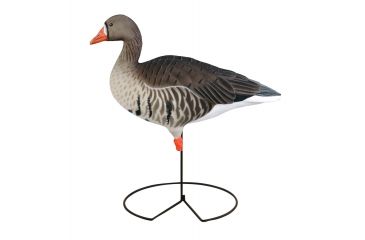 Image of Greenhead Gear FFD Elite Full Body Specklebelly Decoy,Harvester Pack,1/2 Dozen 71813