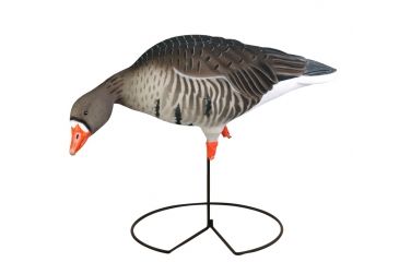 Image of Greenhead Gear FFD Elite Full Body Specklebelly Decoy,Harvester Pack,1/2 Dozen 71813