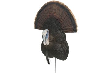 Image of Greenhead Gear Jekyll and Hyde Tom - Rio, 78135