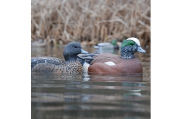 Image of Greenhead Gear Life-Size Duck Decoy,Wigeons,1/2 Dozen 73043