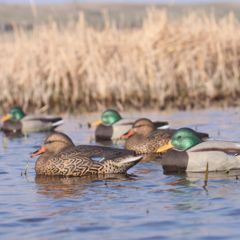 Image of Greenhead Gear Mallards Decoy 70003