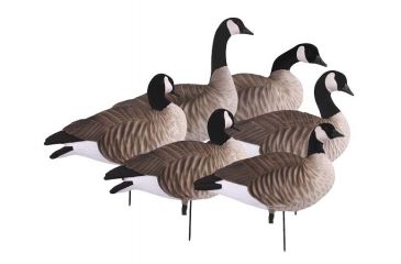Image of Greenhead Gear Newbold Lesser Canadas Decoy,Active Pack,1/2 dzen 72320