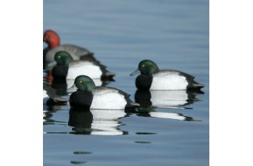 Image of Greenhead Gear Over-Size Duck Decoy,Blue-Bills,1/2 Dozen 73039