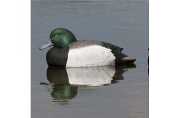 Image of Greenhead Gear Over-Size Duck Decoy,Blue-Bills,1/2 Dozen 73039