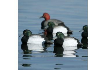 Image of Greenhead Gear Over-Size Duck Decoy,Blue-Bills,1/2 Dozen 73039