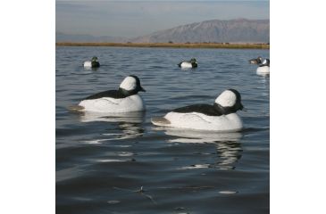 Image of Greenhead Gear Over-Size Duck Decoy,Buffleheads,1/2 Dozen 71048