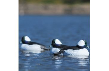 Image of Greenhead Gear Over-Size Duck Decoy,Buffleheads,1/2 Dozen 71048