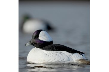Image of Greenhead Gear Over-Size Duck Decoy,Buffleheads,1/2 Dozen 71048